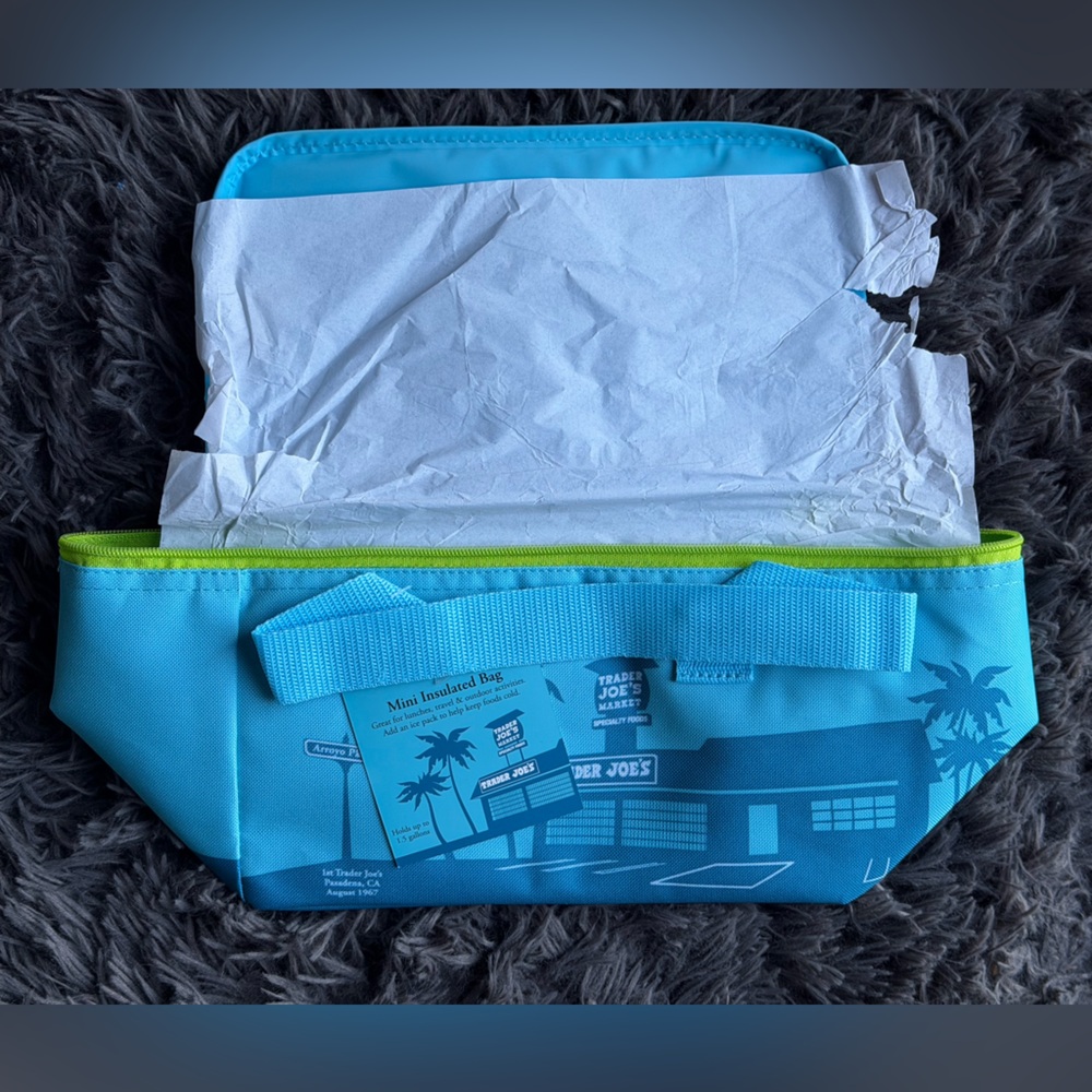Trader Joe’s Blue and Green Insulated mini Bag